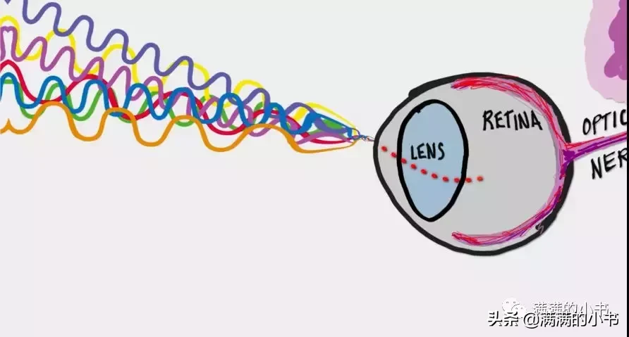 这个学习网站，哈佛学生在用，没想到幼儿园小朋友也可以用︱资源