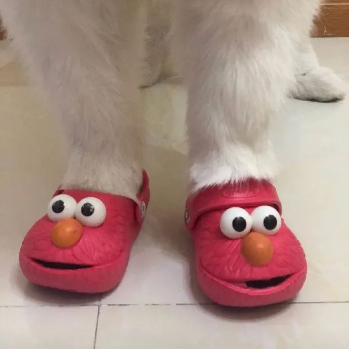 姐姐中午发的朋友圈,家里地位一目了然,哈哈哈