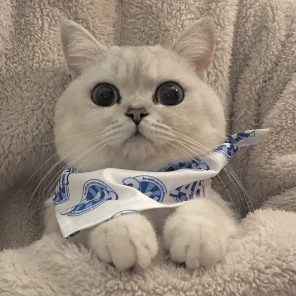 单身女孩朋友圈背景图