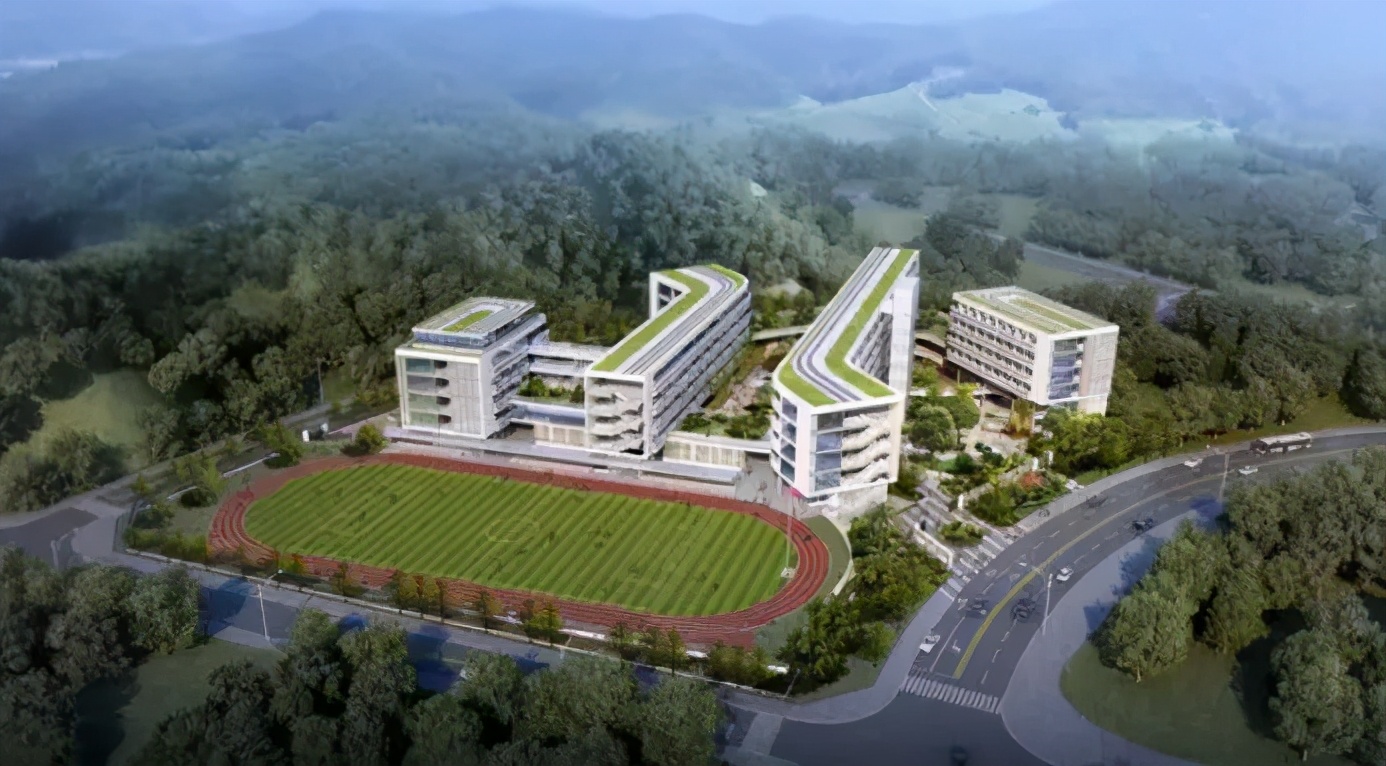 这个“财富密码”，很多人才发现