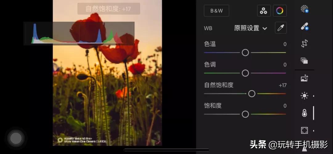 拍花后期！调色用对了，就很有春天的感觉