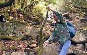山烙铁头蛇图片（大名鼎鼎的毒蛇莽山白尾蛇）