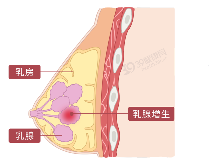 这些病都是被“气”出来的！看完这6大危害，别生气，气病没人替