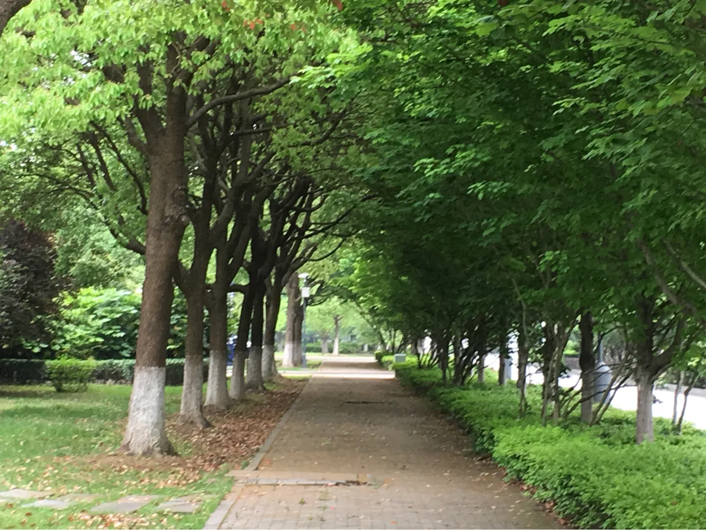 颜值这么高，是哪所高校呢？苏州大学独墅湖校区正在越变越美