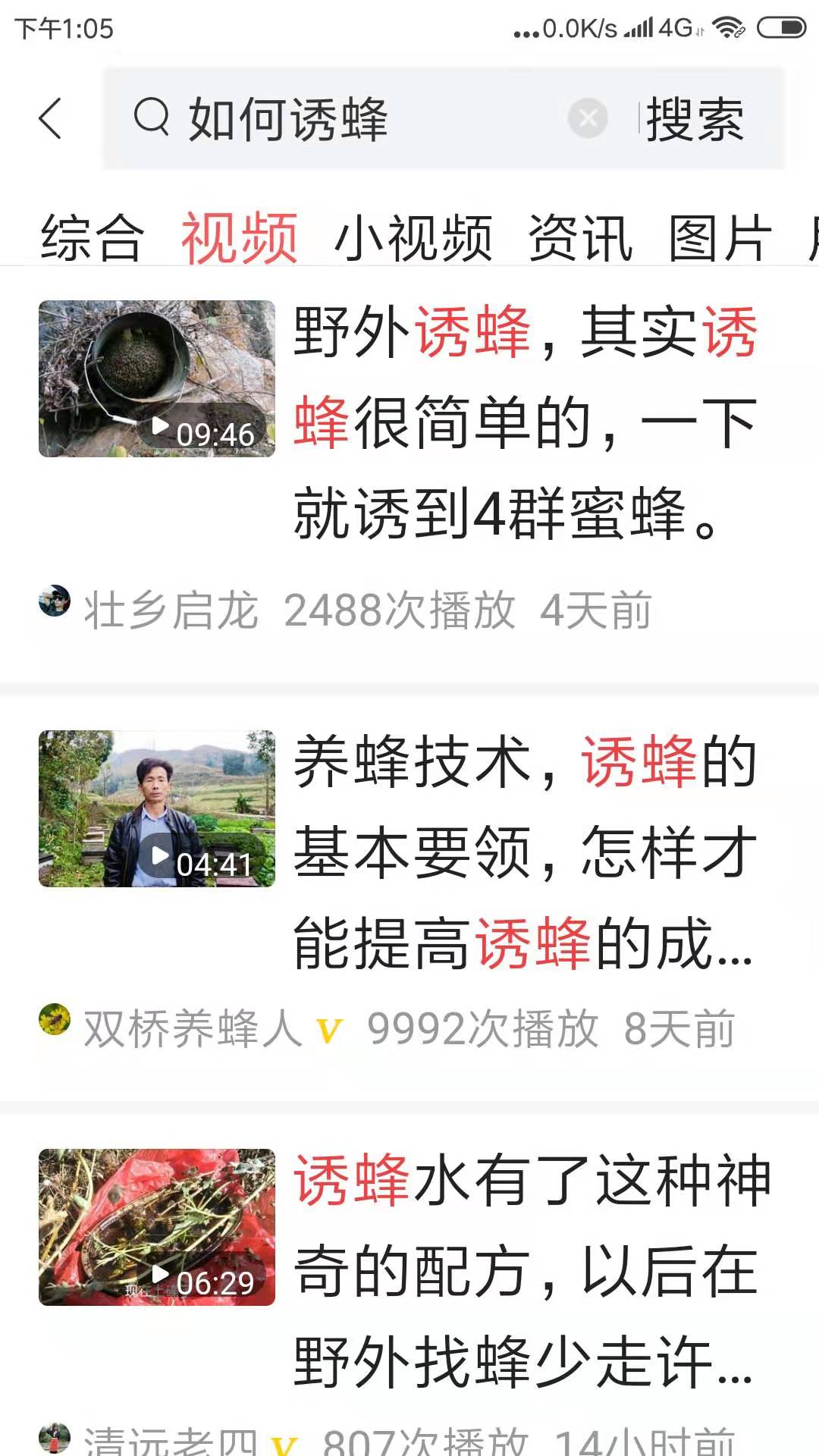 如何养蜜蜂？