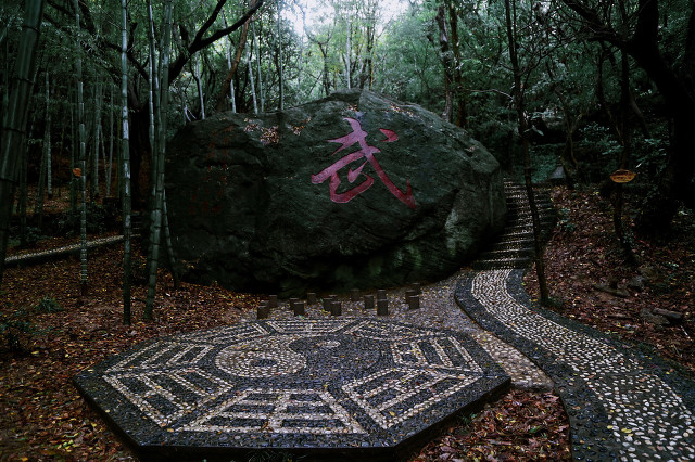 奥运讲台：你拼搏的身影，不只是一道风景，更是春雨，润物无声