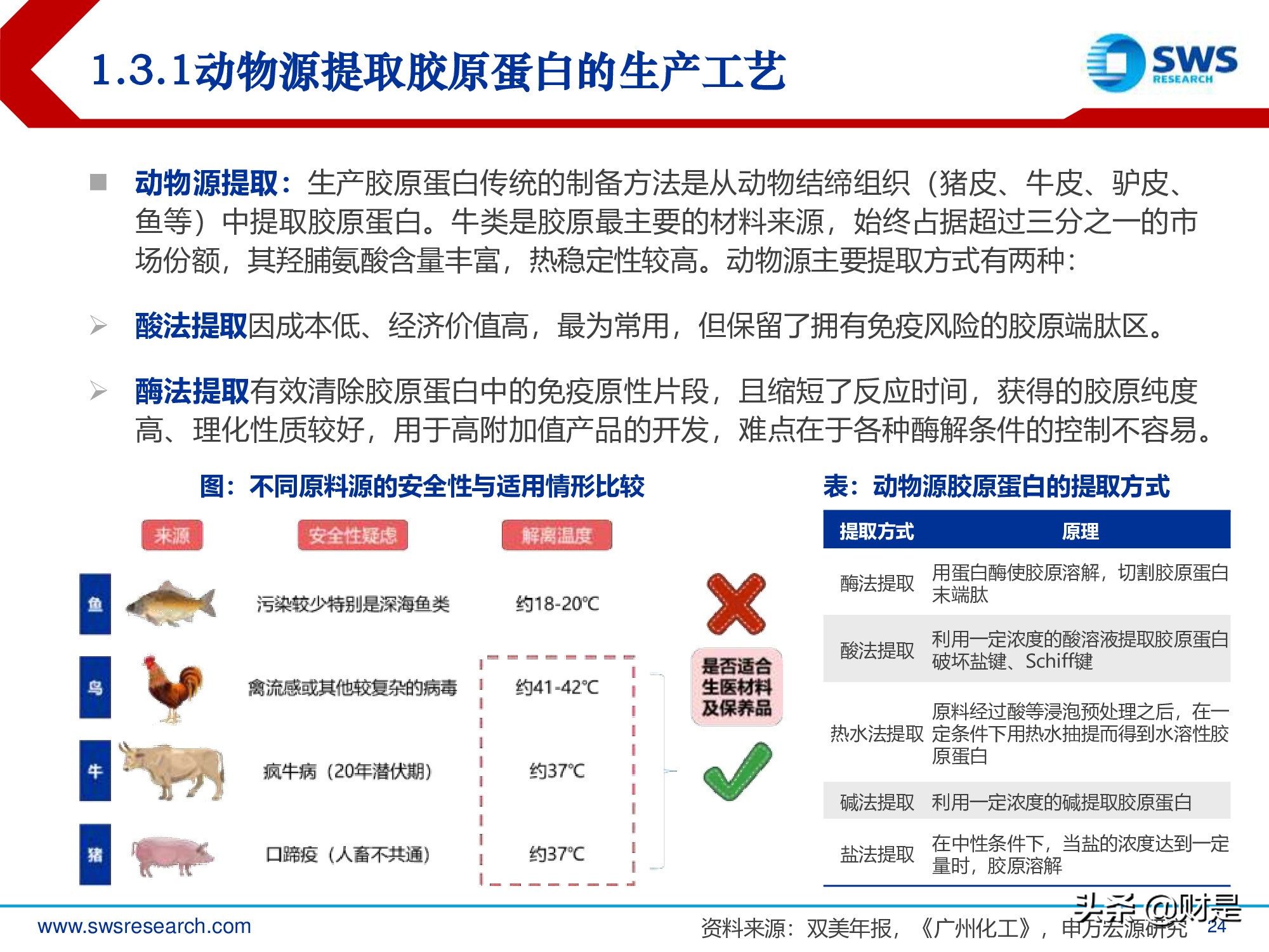 胶原蛋白行业深度研究报告：生物医药材料下一个风口