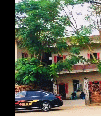 全红婵50万豪车到家一幕曝光：爷爷立马起身相迎，红姐广州苦练