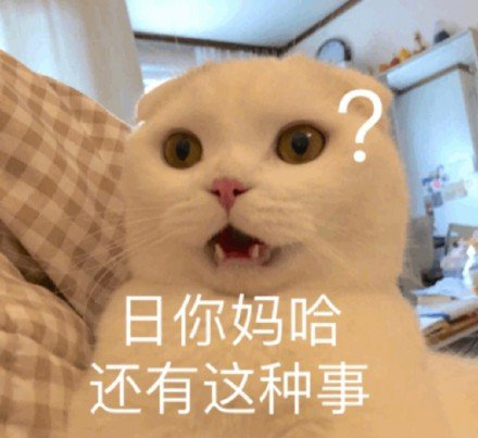 猫咪表情包｜在？出来玩