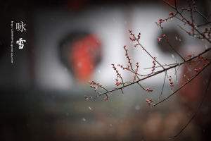 文言文‖《咏雪 / 咏雪联句》原文及译文