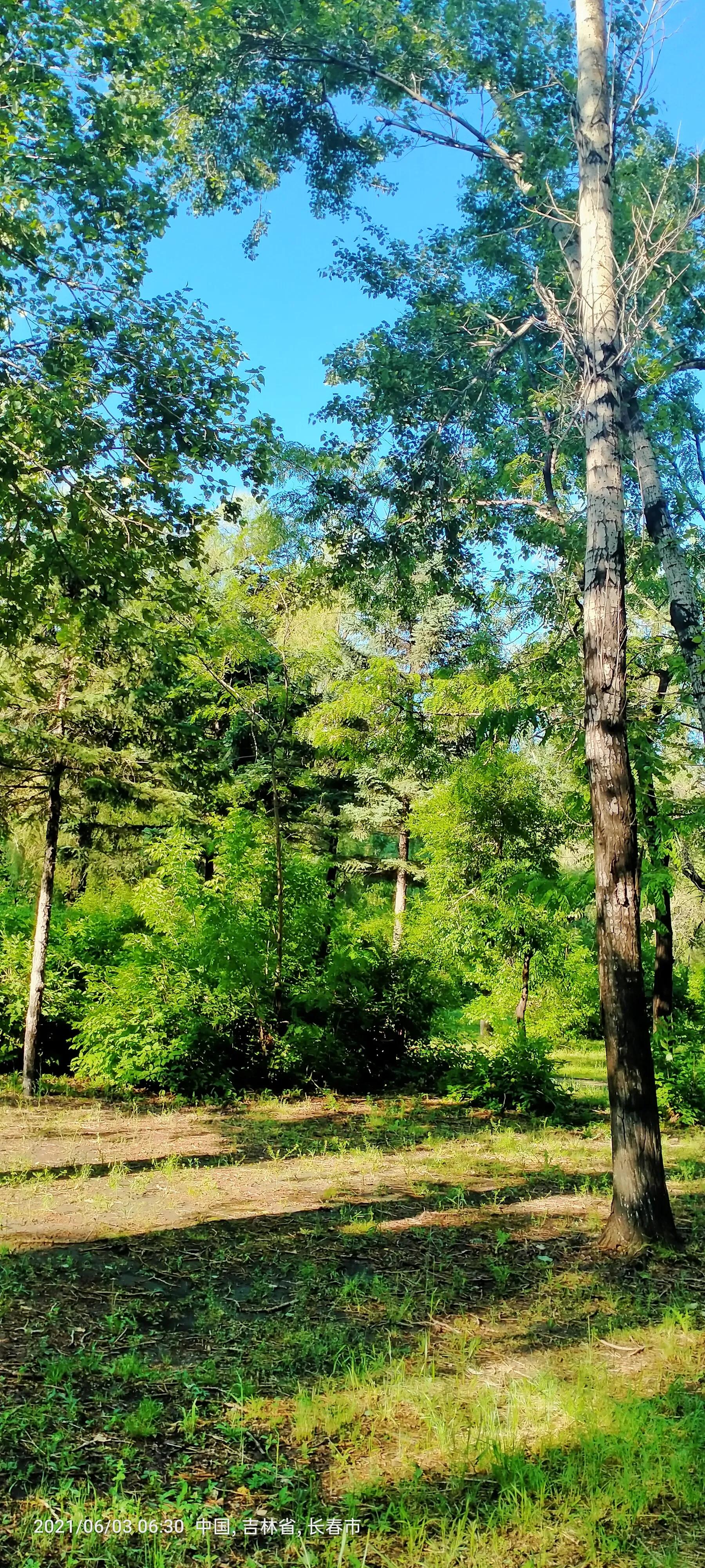 长春师范大学——竟然这么美