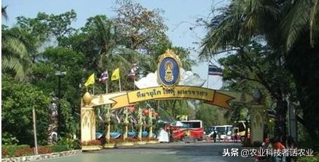 中国农大，荷兰农大，美国农大，日本农大，谁是世界第一农大