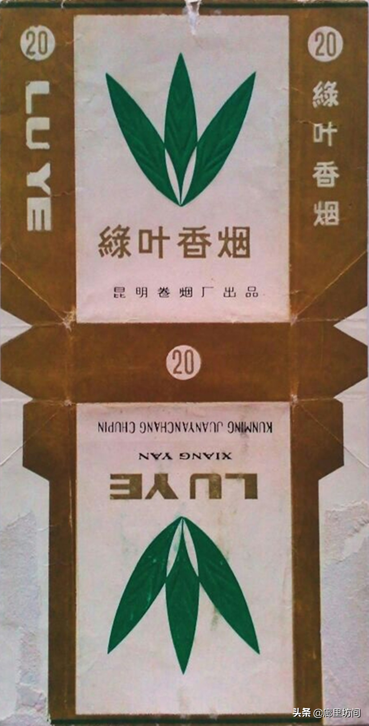 (碧雞,昆明捲菸廠,1979年)茶花(昆明捲菸廠.