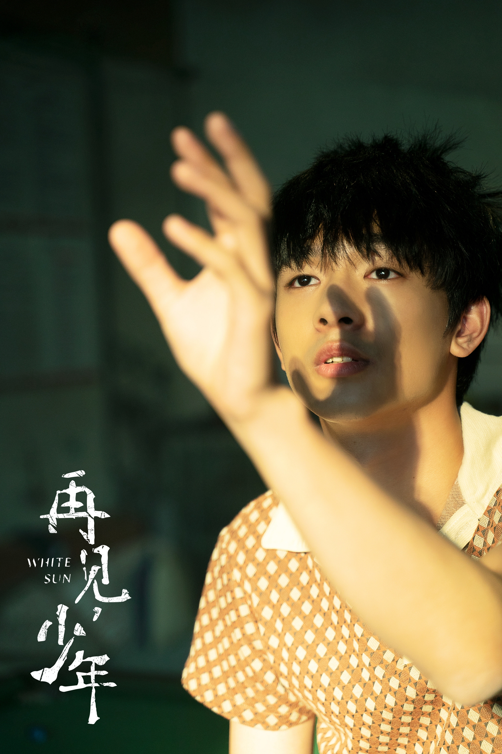 再见少年电影剧情「介绍」 _晶羽科技