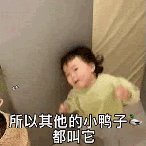 动图表情包：有只小鸭子，叫好响抱抱鸭