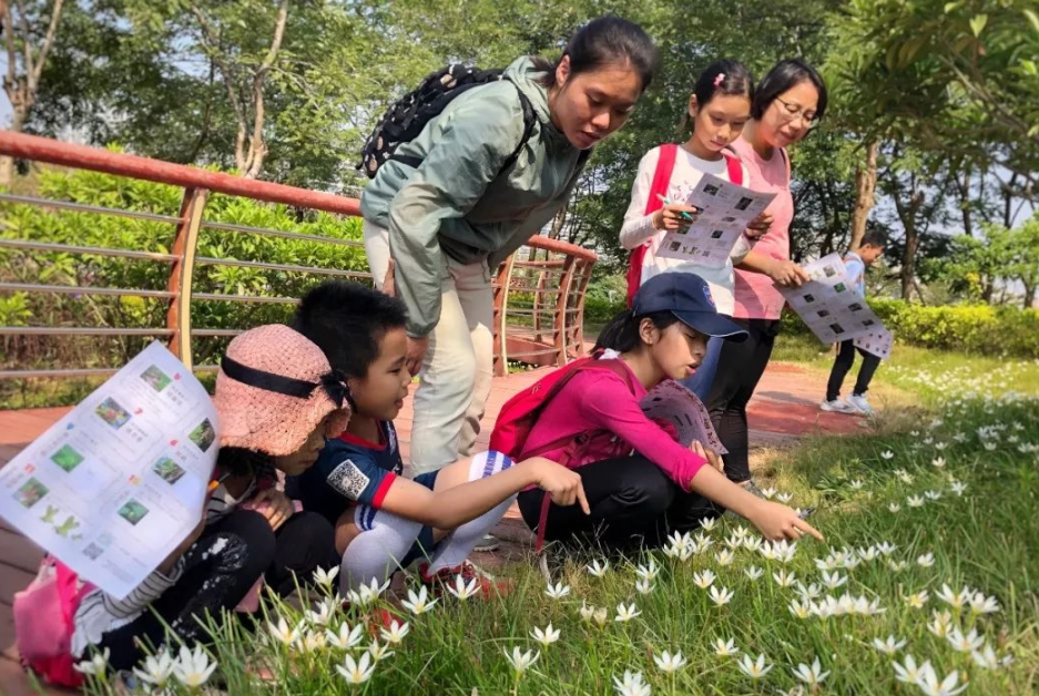 从“语数外”到“音体美”，培训机构转型，能否大获成功？