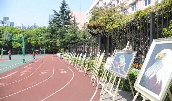 民办摇号下的救心丸！盘点上海四大教育强区的12所热门民办初中