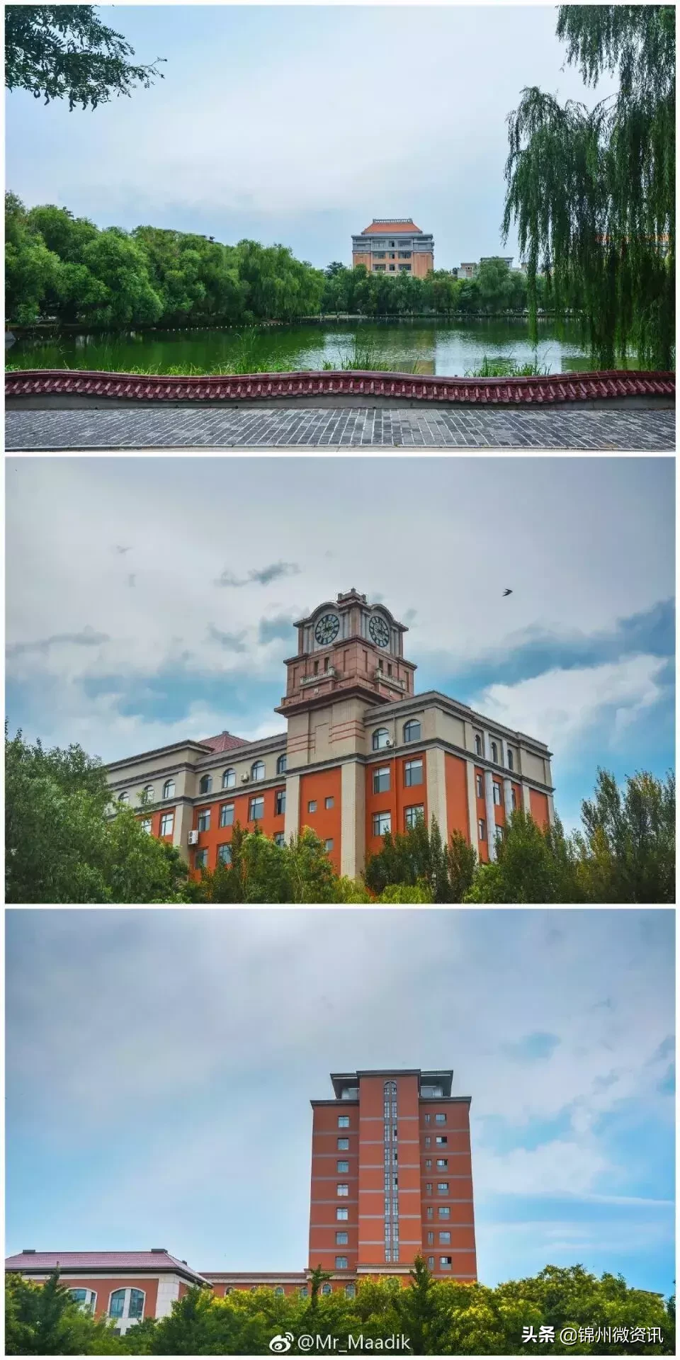 渤海大学关于报到的那些事儿！流程都在这里