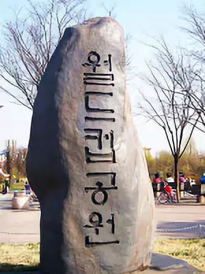UGG品牌在韩国受欢迎程度及购买攻略