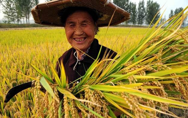 我为农民有话说：请善待年老的农民，他们是国家的精神财富