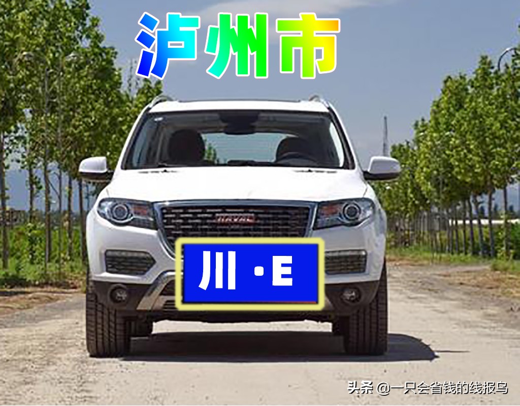 å››å·�çœ�æ±½è½¦ç‰Œç…§å&shy;—æ¯�æ�’åº�