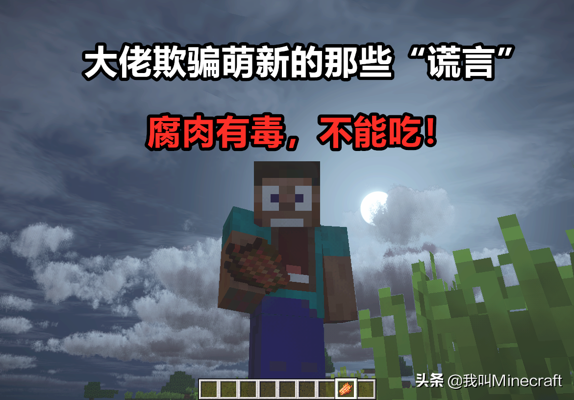 我的世界：盘点这些年你信以为真的6大谎言，萌新至今深信不疑！