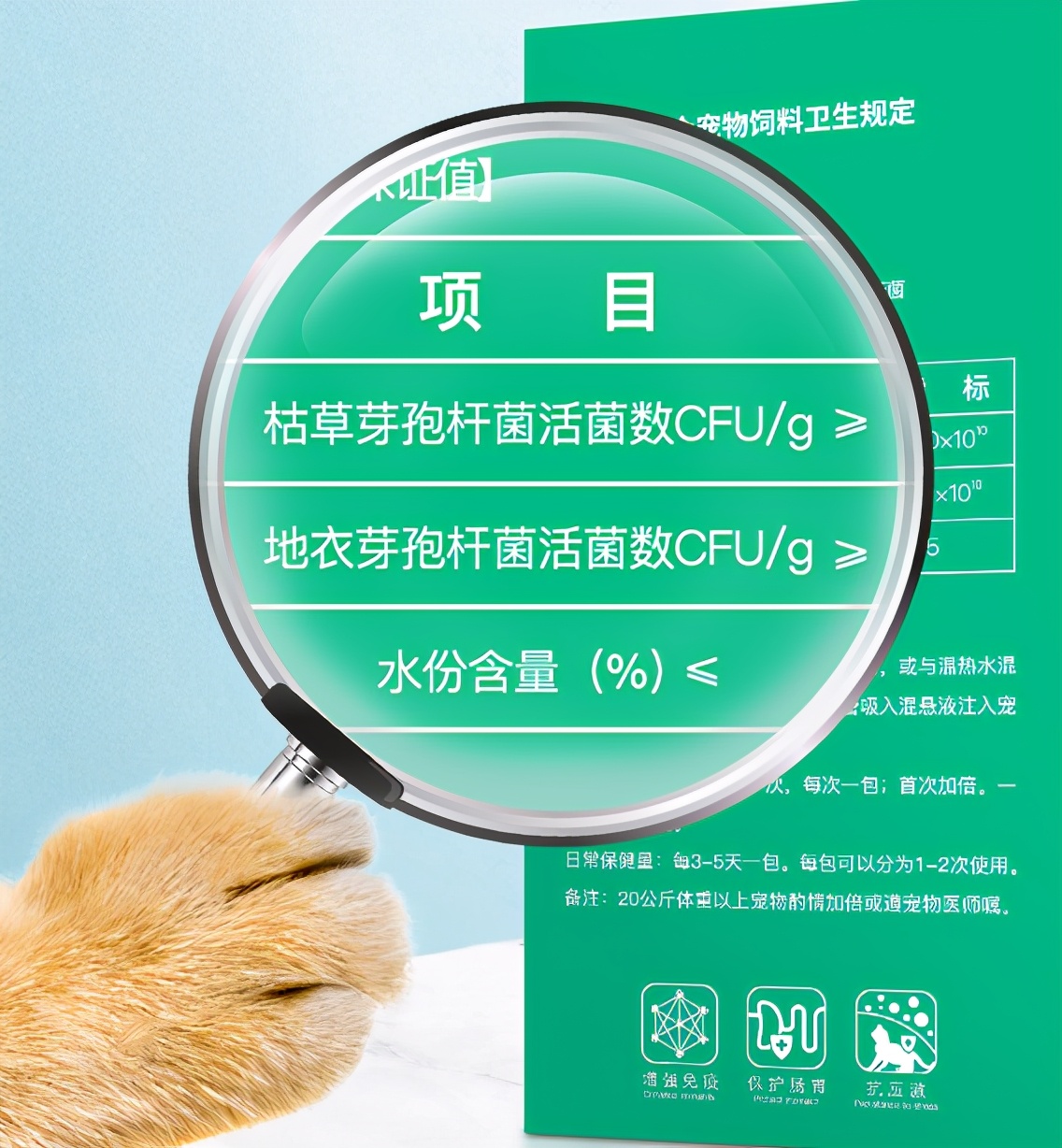 狗狗肠胃弱,如何挑选益生菌?