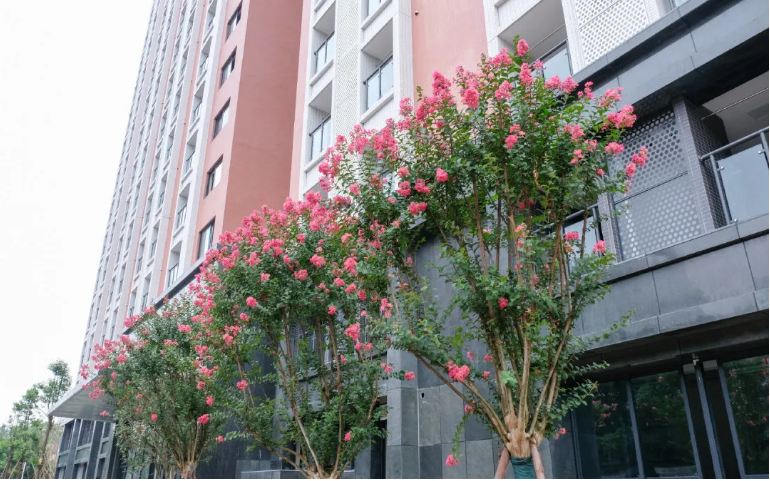 配置豪华！四川大学新宿舍曝光，坐拥4部电梯，双人标准间，还有健身房！