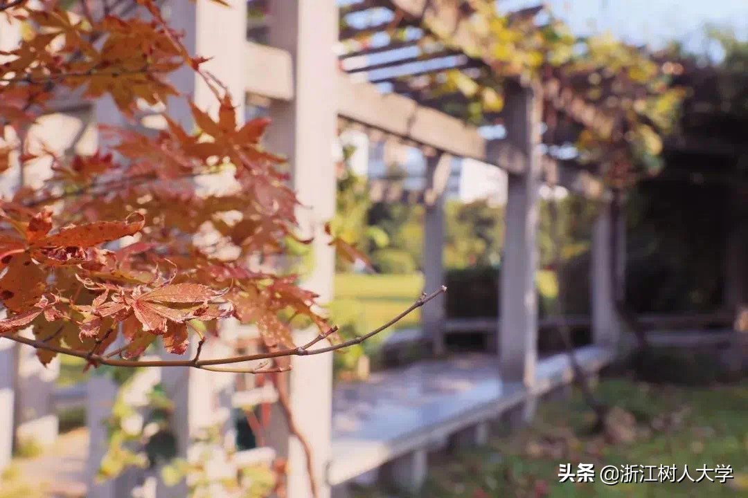 杭州就读，新增5个专业，浙江树人大学专升本2020年招生简章