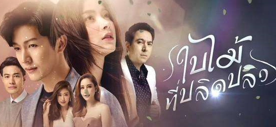 6月开播的泰国电视剧：泰国版《匆忙的一年》，Yaya一个人演了两角的演技，爆裂。