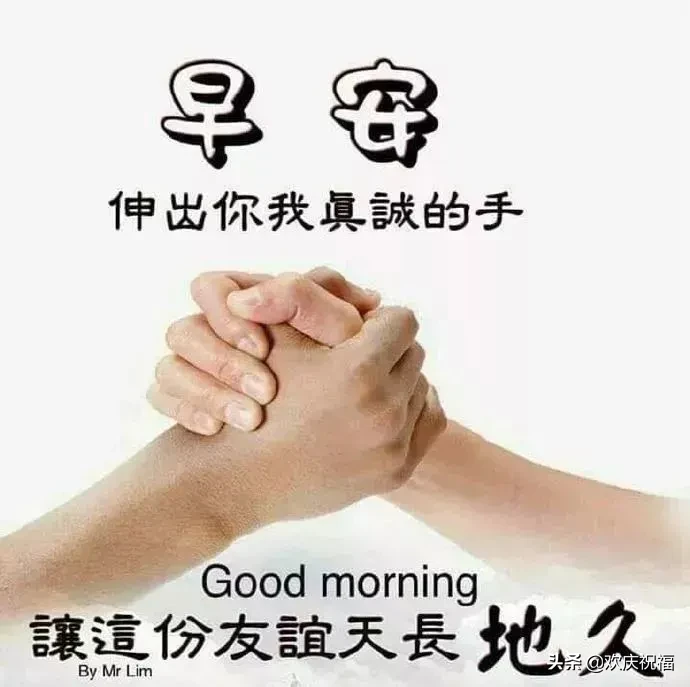 看的是书，读的却是世界。沏的是茶，泡的却是生活，早安