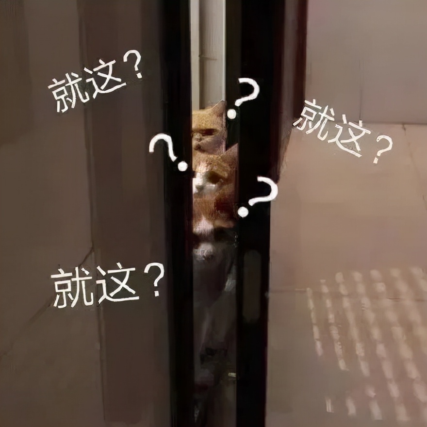 《芬奇》一人撑起一部大片，汤姆汉克斯用实力诠释，什么叫做影帝