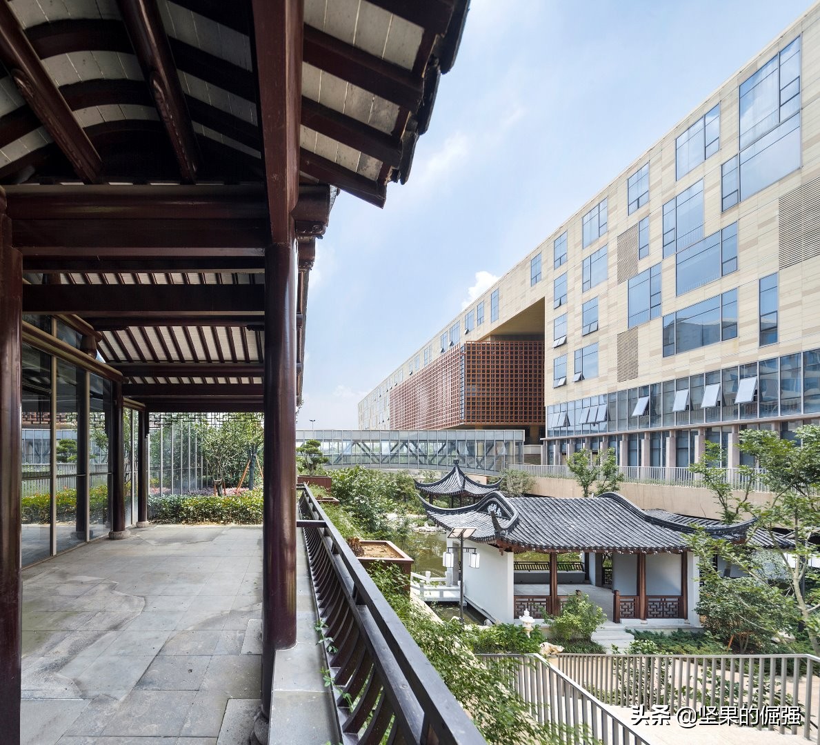 苏州市九所优质民办初中，附四星级高中达线率