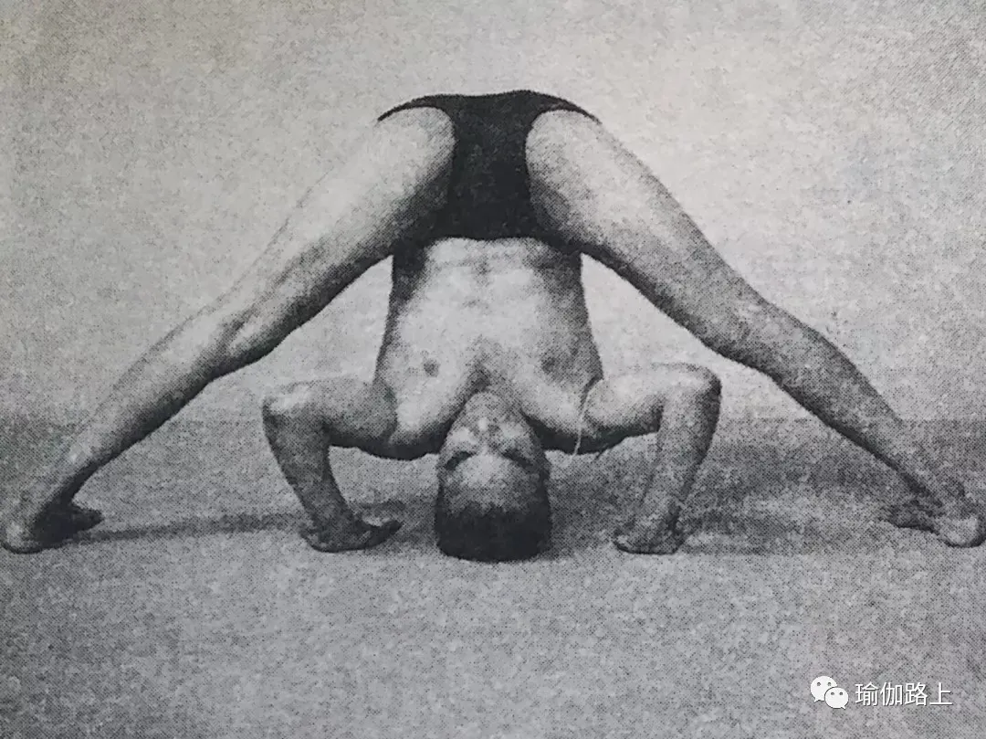 艾扬格密集一 | 32 个经典体式 & 2 大呼吸法经典示范图