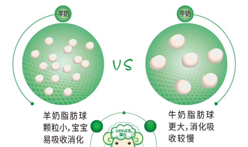 揭开“小分子”奶粉真面目：真值得买还是瞎忽悠？