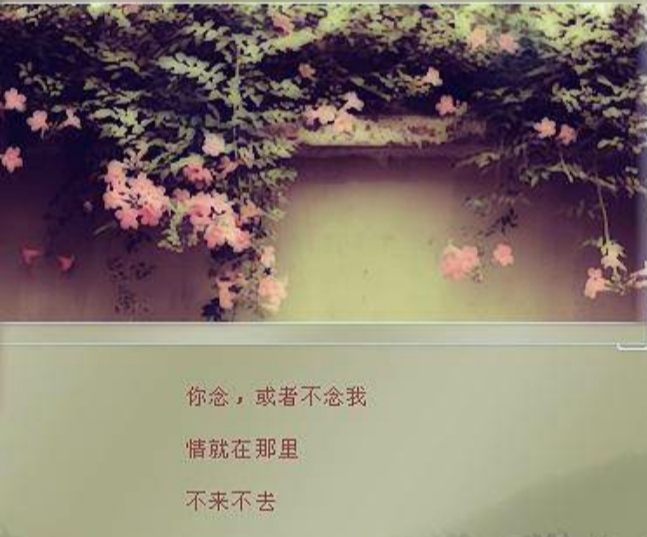 《见与不见》究竟是不是仓央嘉措所作？（见与不见 仓央嘉措）