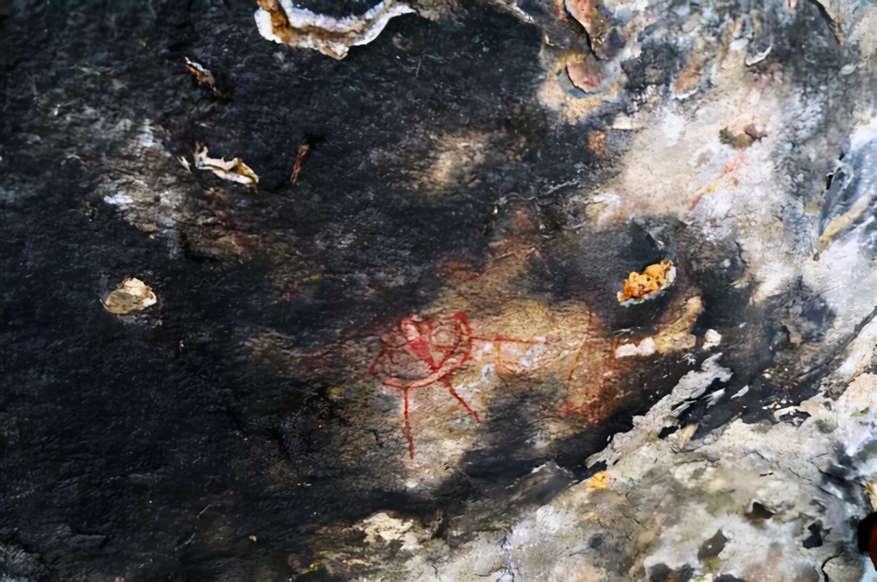 究竟有没有外星人干预过地球？万年前的岩画，可能已经给出了答案