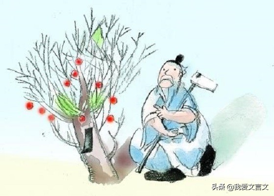 经典文言文赏析 | 桑中生李