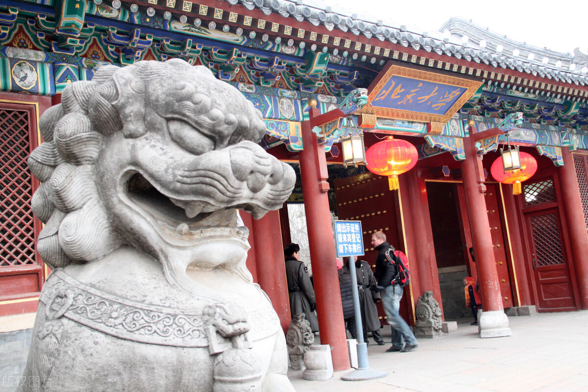 521分考入北京大学，却是“冷门”的护理专业，这志愿填得好吗？