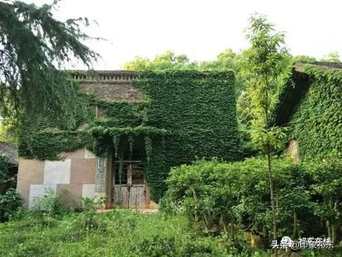 「家乡祁东」白地市记忆
