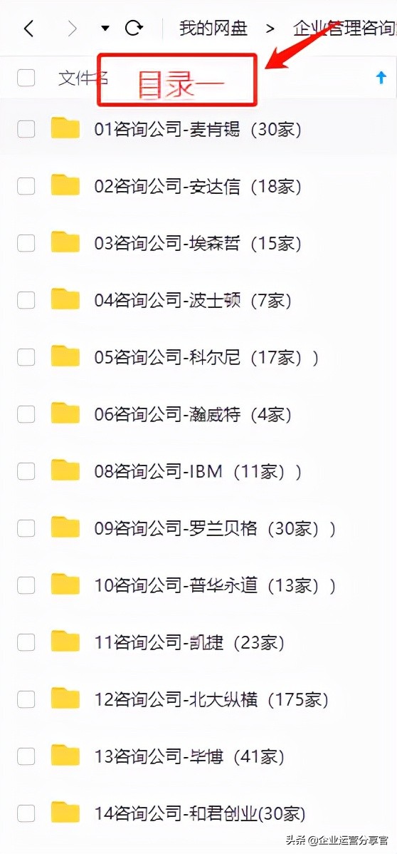 价值百万的波士顿咨询报告：某通讯集团品牌战略咨询案例
