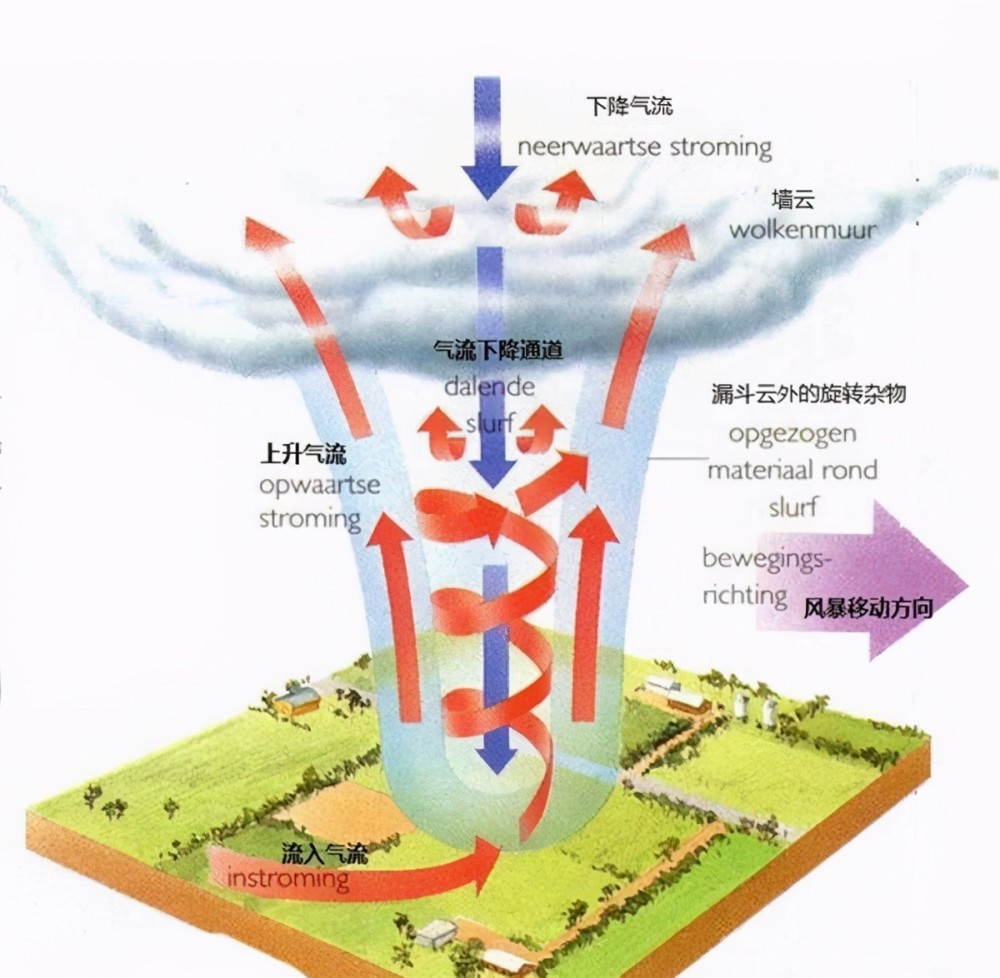 EF3级龙卷风“突袭”山东县城，掀翻几十辆轿车，刮断几十年老树