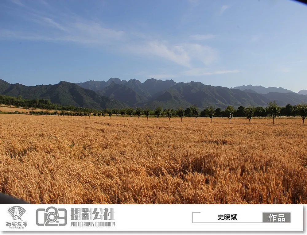 早安·西安丨6月24日可查询高考成绩