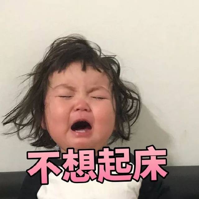 罗熙表情包：上班时的你