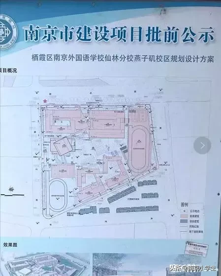 细数南外家族,分校遍地开花,究竟孰亲孰疏?