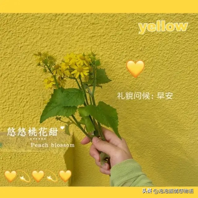 谁不是在崩溃的边缘撑着笑脸（值得收藏的句子）