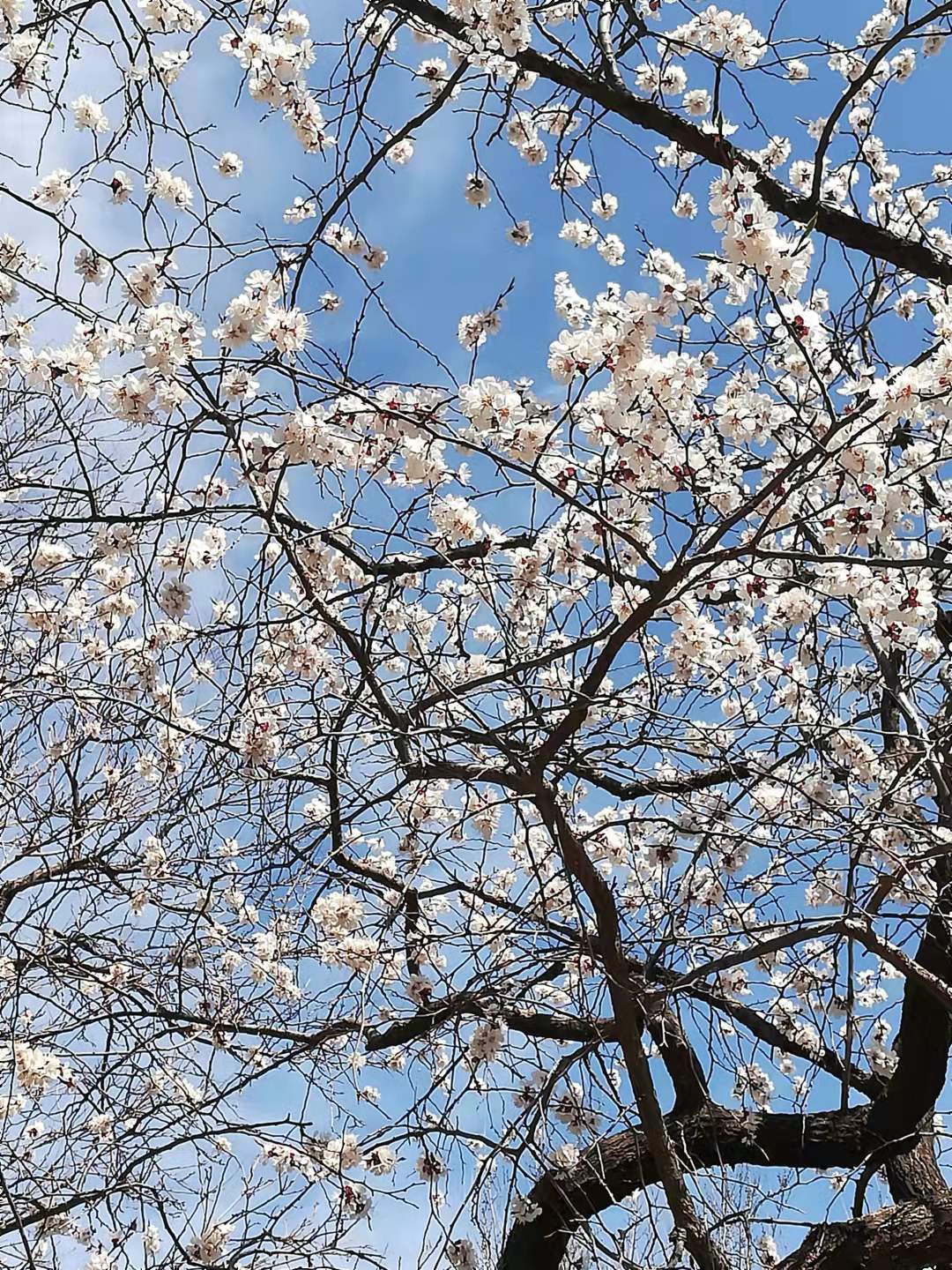 漫步雨中（诗歌十一首）北京 张新贵