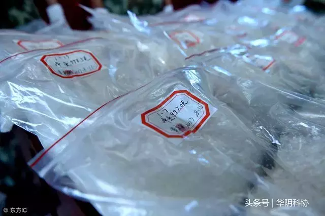 六大毒品及其危害——远离毒品，给自己一个健康的人生