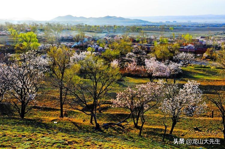 历史上真有“苏三”其人吗，她的父亲又是谁