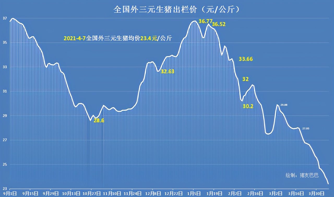 猪肉大跌30%，牛羊肉也大跌价，蛋价却逆袭，吃肉自由来了？